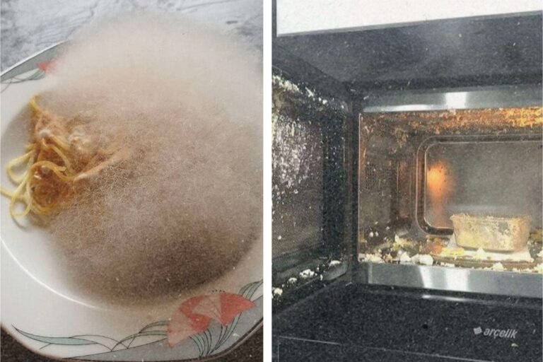 Cooking Fails: Real-Life Kitchen Moments Gone Wrong